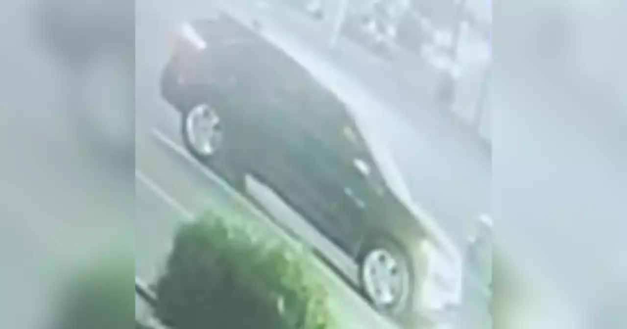 Police seek to find hit-and-run driver who struck woman, child in Egger Highlands