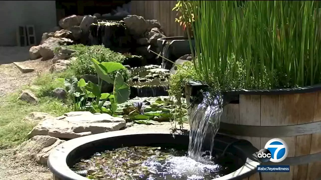 Add water to save water? How adding a pond to your landscape can actually cut your water bill