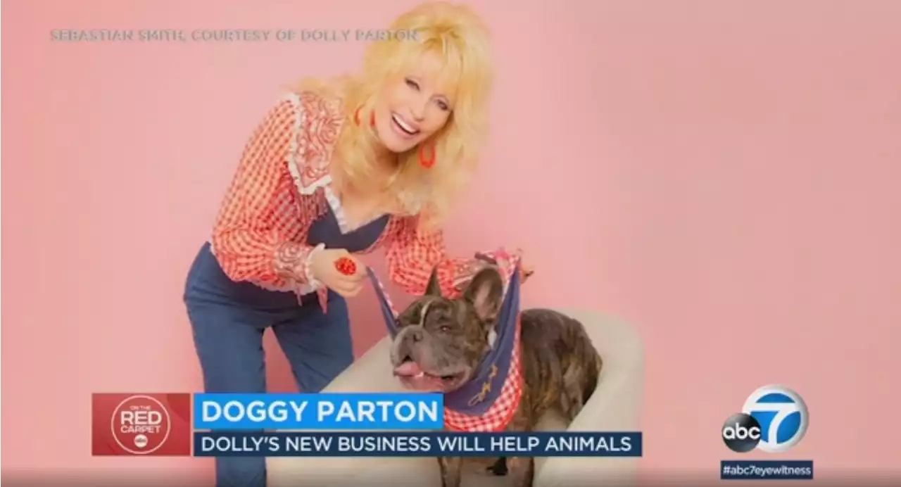 Dolly Parton launches 'Doggy Parton' line of dog accessories, clothing