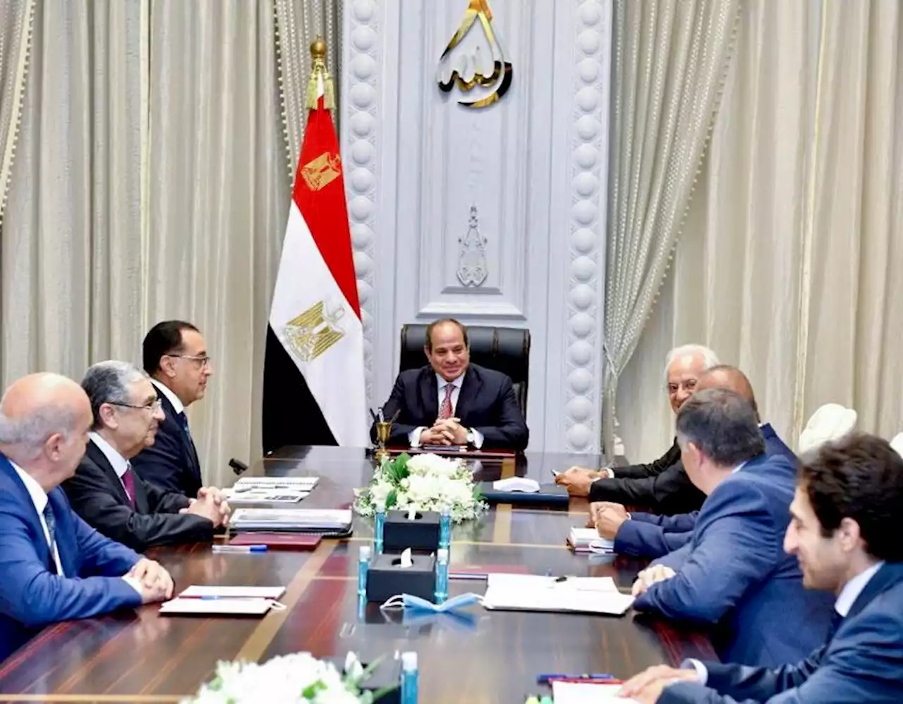 رئيس اتحاد شركات «كوبيلوزيس» يتطلع لتنفيذ مشروعات للطاقة المتجددة على أرض مصر - بوابة الأهرام