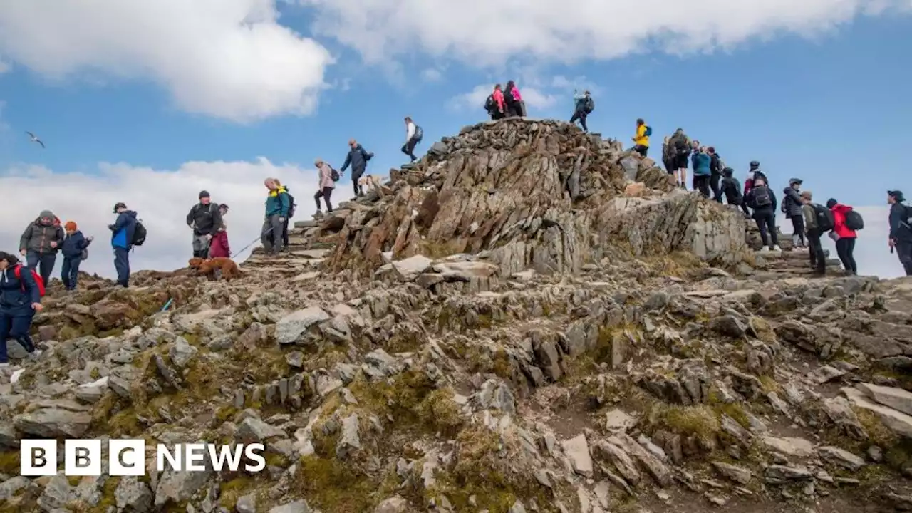 National parks: Rapid change needed to protect beauty spots