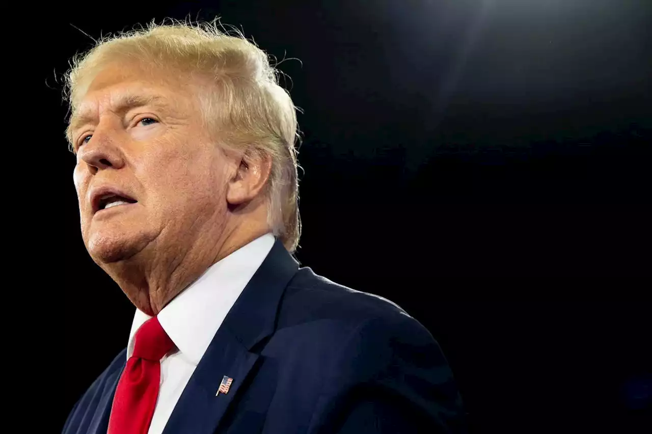 Trump didn't formally declassify Mar-a-Lago documents as he 'wanted them to still have value,' analyst | Businessinsider