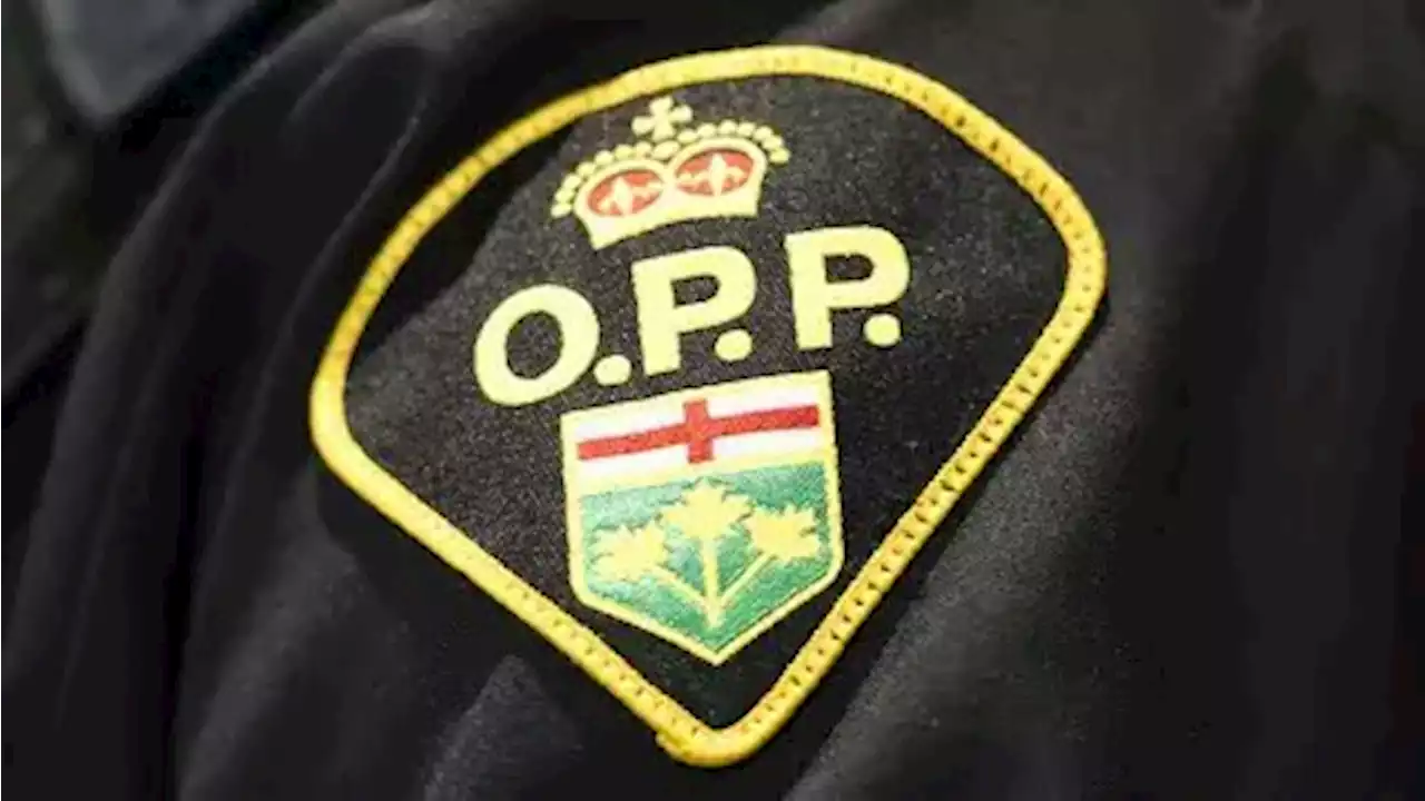 47-year-old man dies in Quinte West crash | CBC News