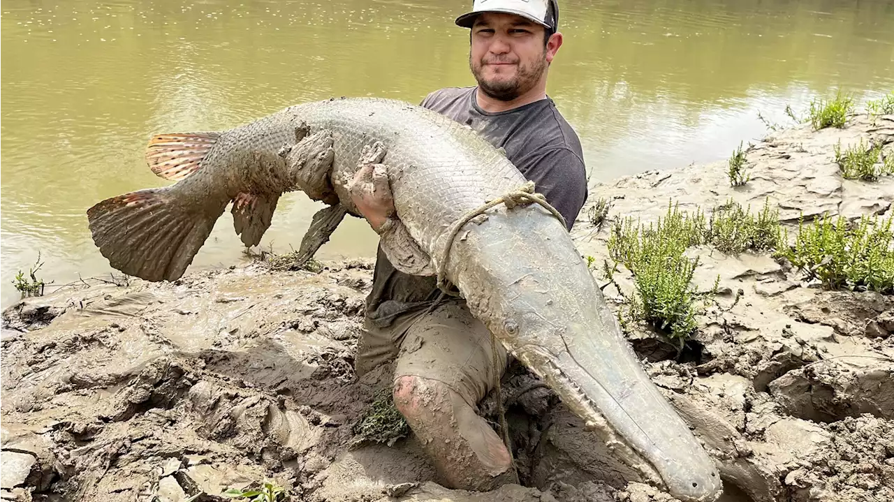 Texans, It Could Be Your Chance to Catch Giant Alligator Gar in the Trinity River