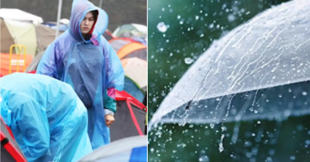 Weather advisory issued for Electric Picnic weekend over 'wet and windy' conditions | Her.ie