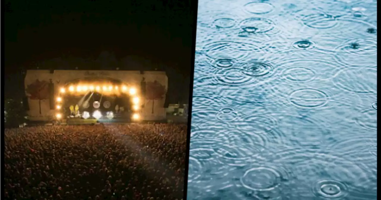Weather advisory issued for Electric Picnic weekend over 'wet and windy' conditions | JOE.ie