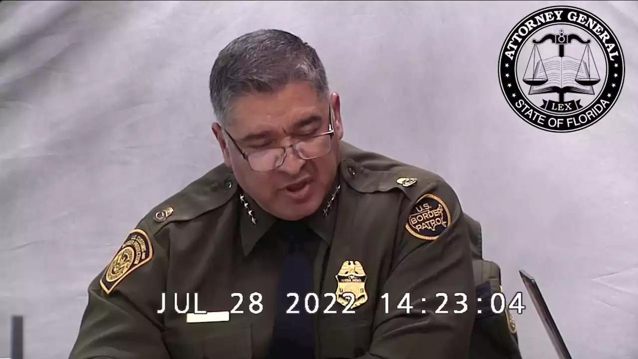 Border Patrol Chief says Biden's border policies create 'no consequences' -