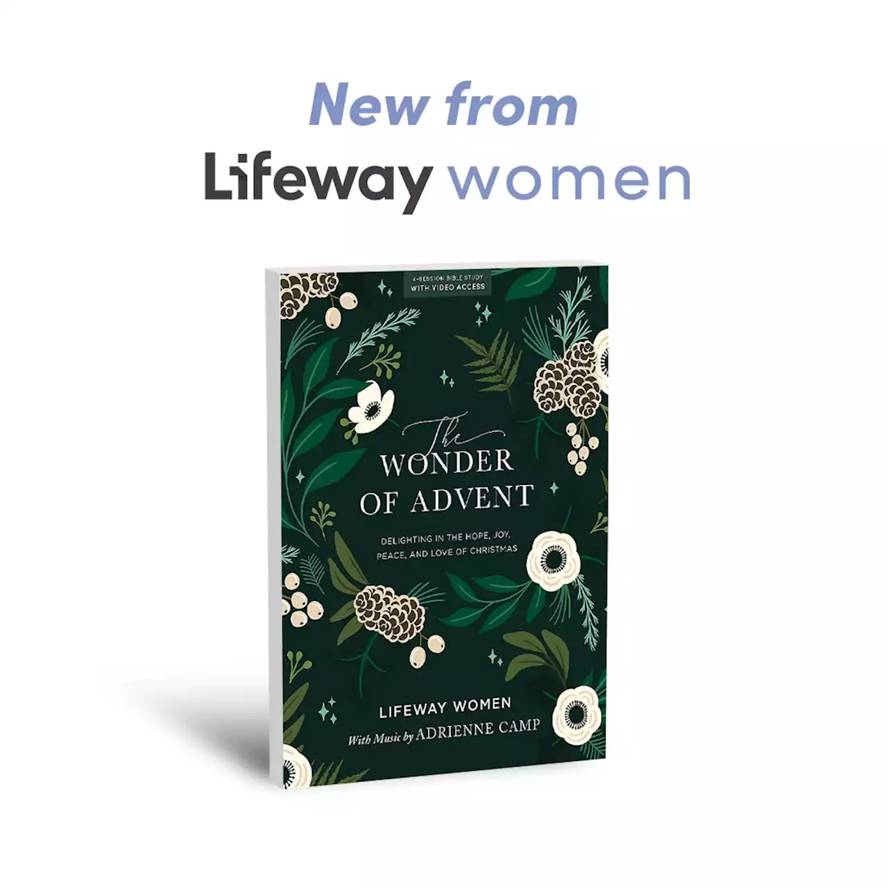 The Wonder of Advent Bible Study | Read an Excerpt - Lifeway Women