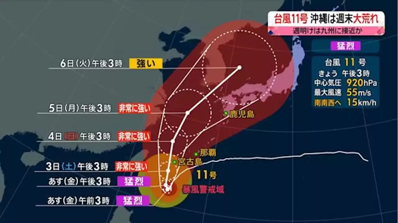 前科はありますか 普通の格好を ワニガメ生態研究所長がテレビ出演断る真意 動物も人間も見た目で差別される ライブドアニュース