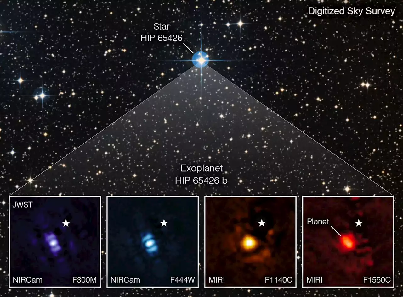 NASA’s Webb Takes Its First-Ever Direct Image of Distant World – James Webb Space Telescope