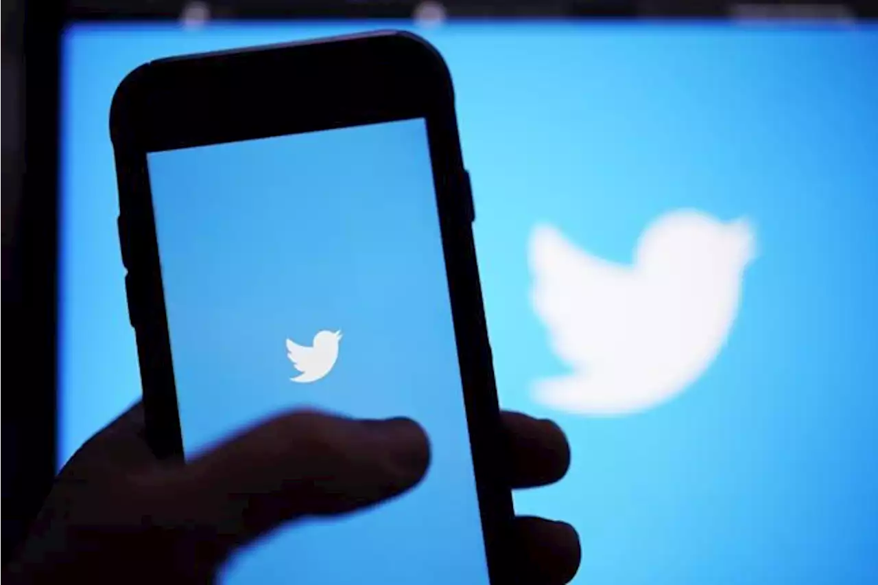 Twitter to test edit button, Canadian Twitter Blue users among first to get access | National Newswatch