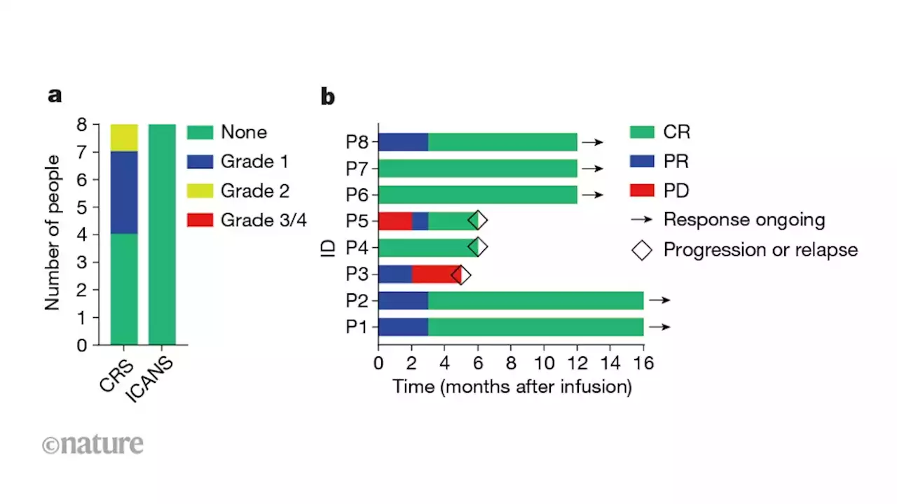 Non-viral, precisely engineered immune cells tested in lymphoma