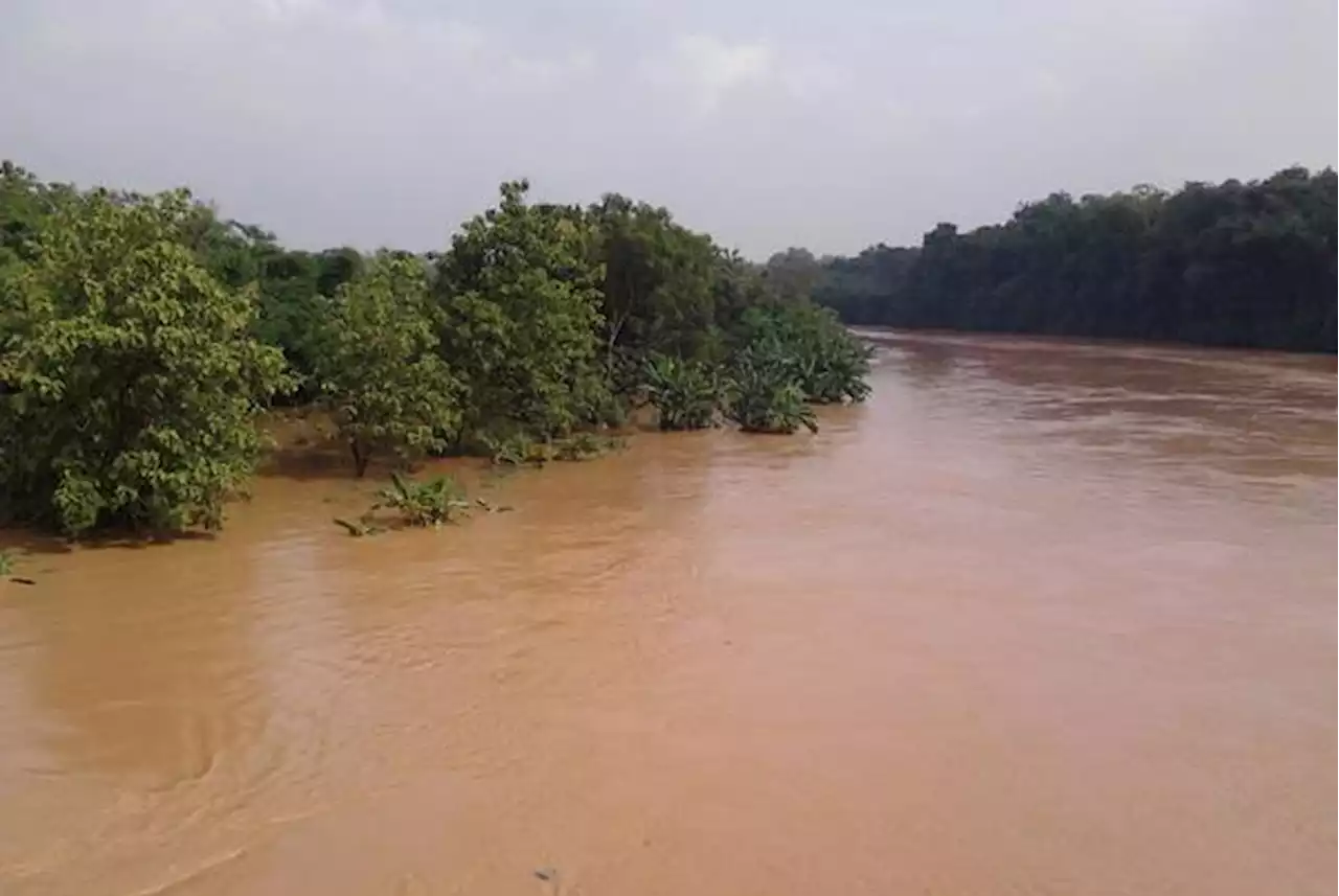 Rumah Jagal Anjing Akui Buang Darah dan Jeroan di Sungai Bengawan Solo |Republika Online