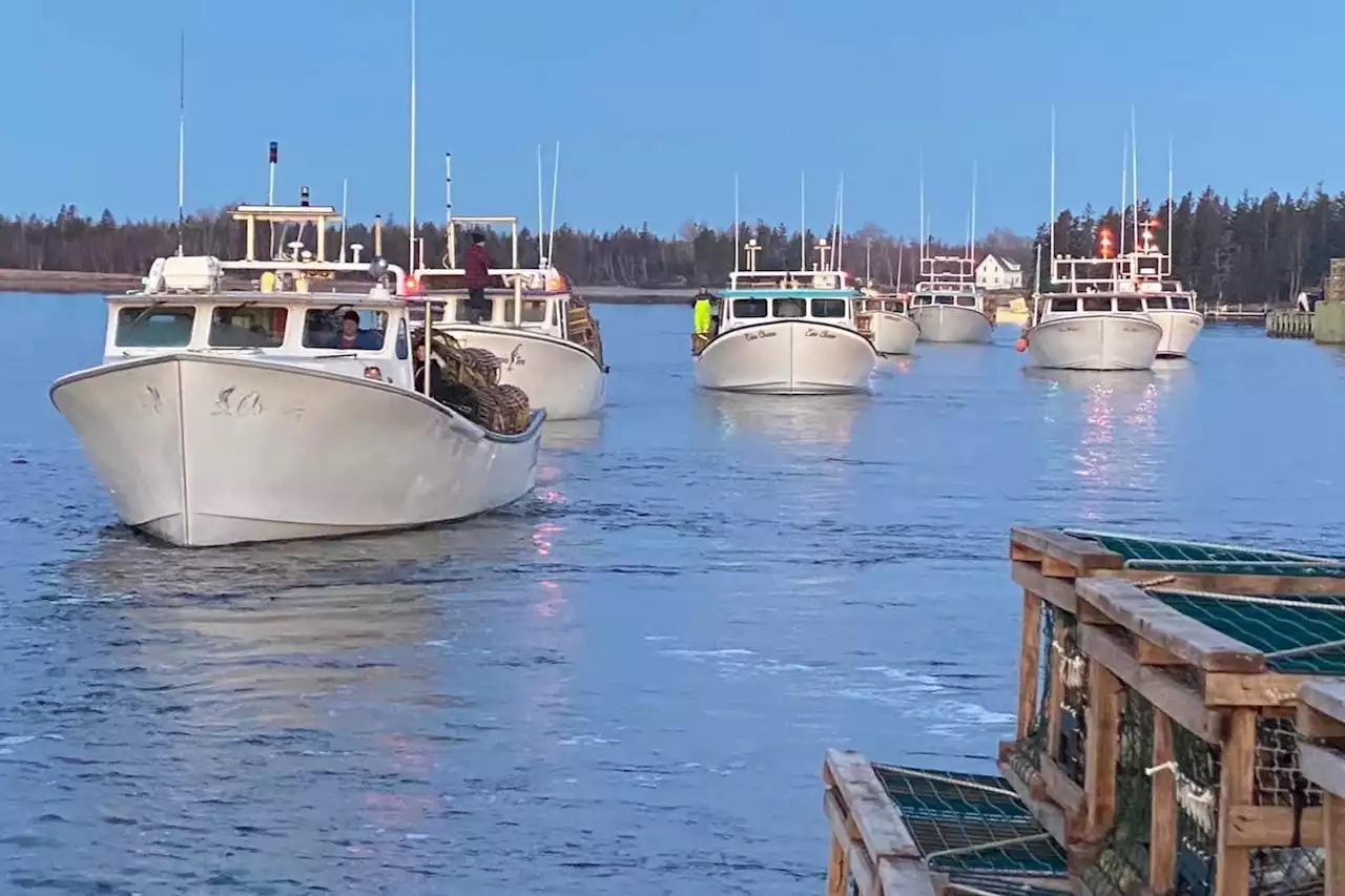 Prices down for Lennox Island, P.E.I. treaty fishery in fall season after challenges securing harbour | SaltWire