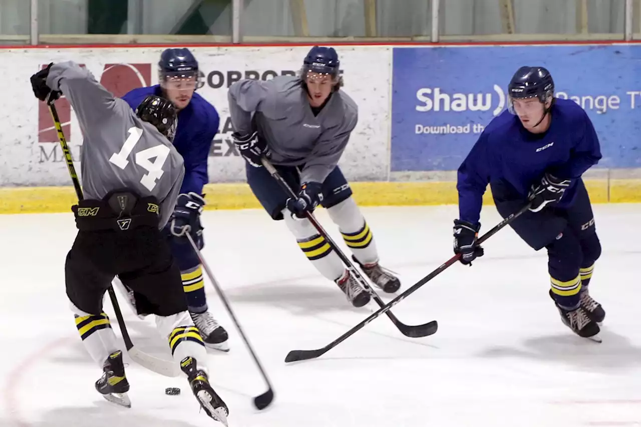 Thunderwolves hit the ice with optimistic outlook