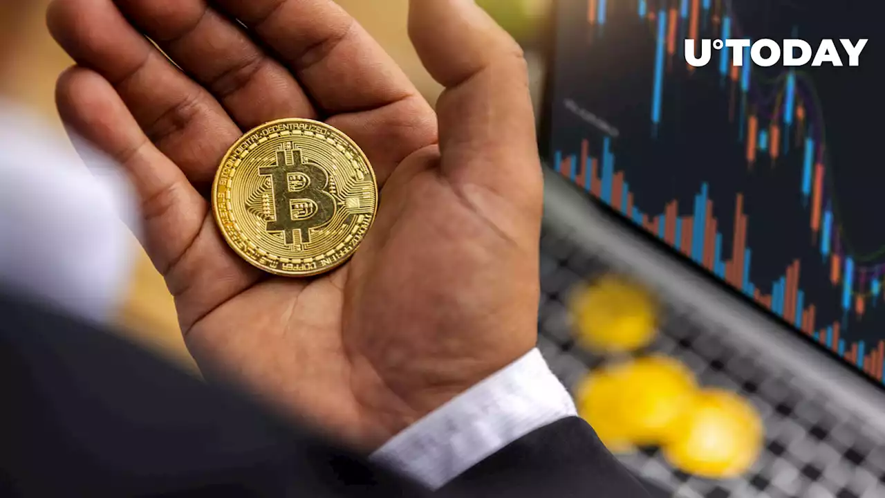 This Prominent Bitcoiner Can’t Buy The Dip if BTC Drops to $15,000, Here’s Why