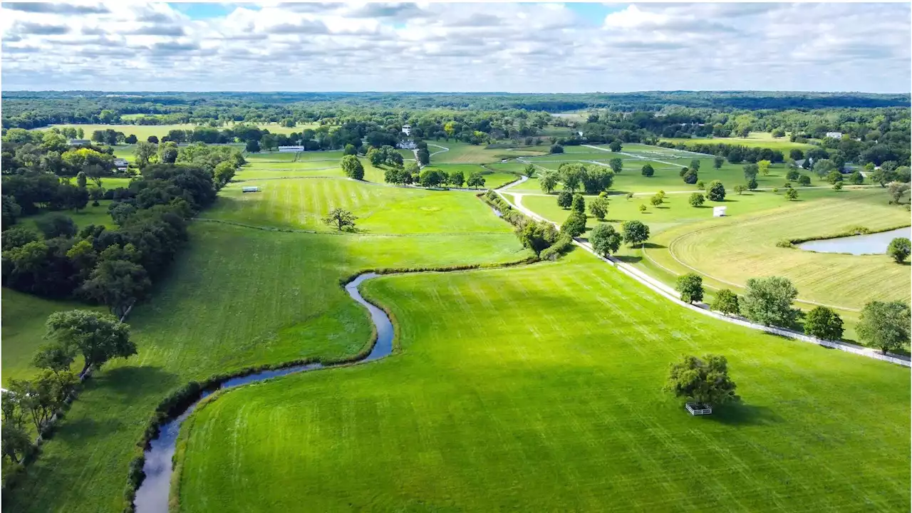 Former Arlington Park Owners Putting Family Farm Out to Pasture in Big Win for Conservationists