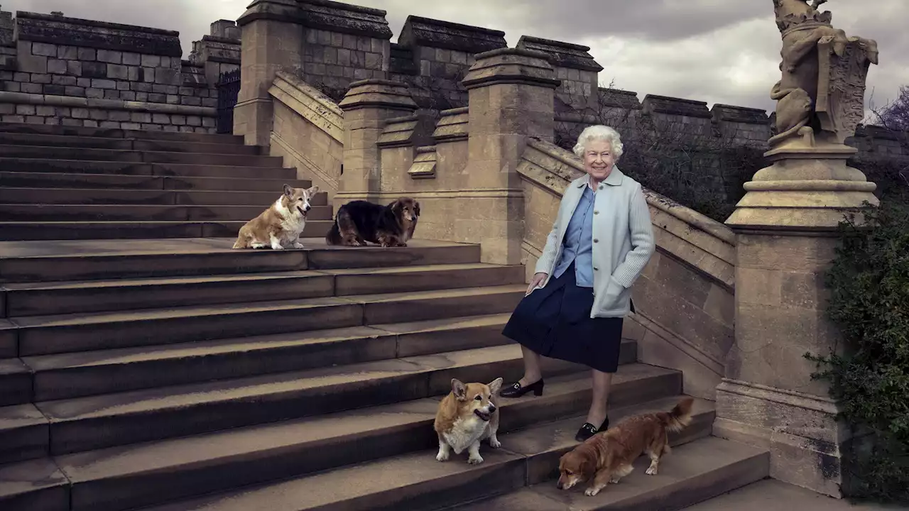 Queen Elizabeth and her corgis: What will happen to her beloved companions?