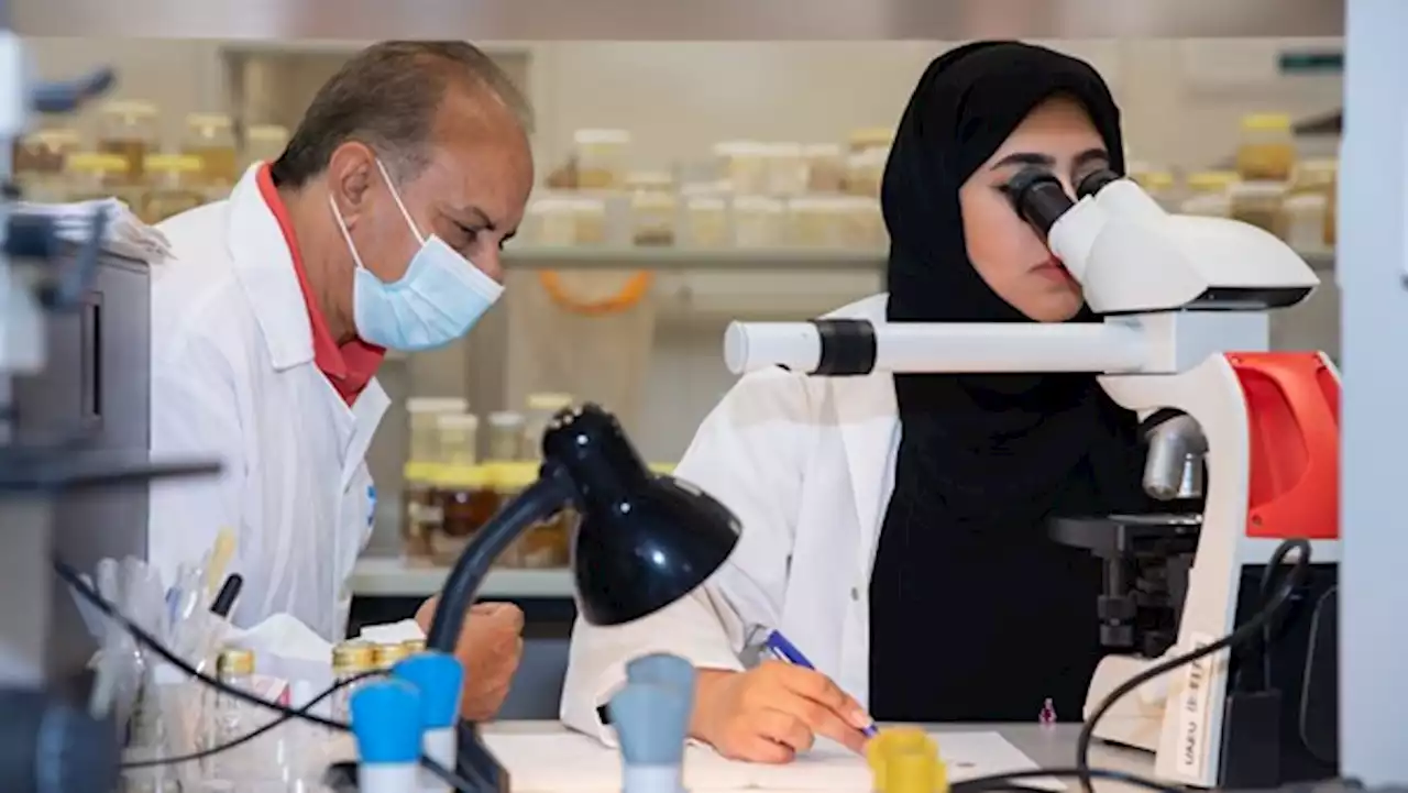 جامعة الإمارات تكتشف نوعاً جديداً من «قشريات» المياه العذبة