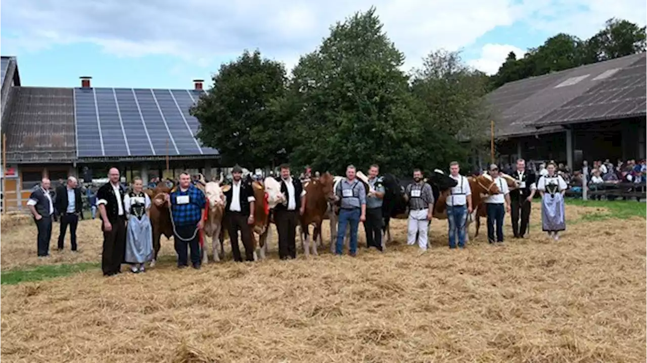 Die Emmentalische Verbandsschau übertrifft die Erwartungen der Richter - bauernzeitung.ch