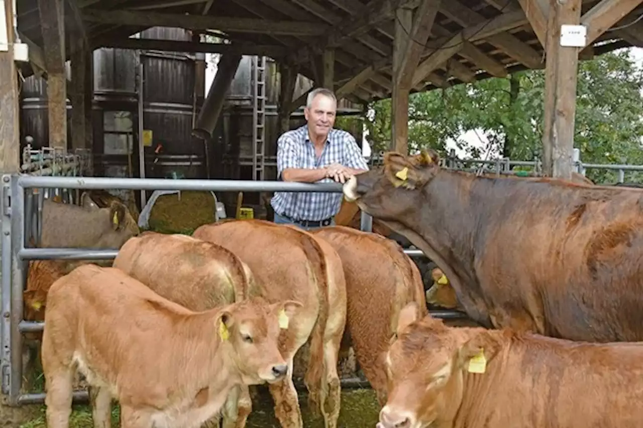 Für ein Jahr der höchste Berner: Im Herzen bleibt Martin Schlup ein Landwirt - bauernzeitung.ch