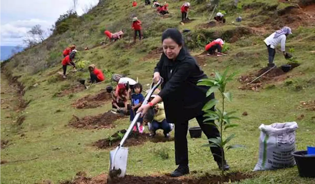 Kerja Nyata Turun ke Daerah, Elektabilitas Puan Maharani Meningkat