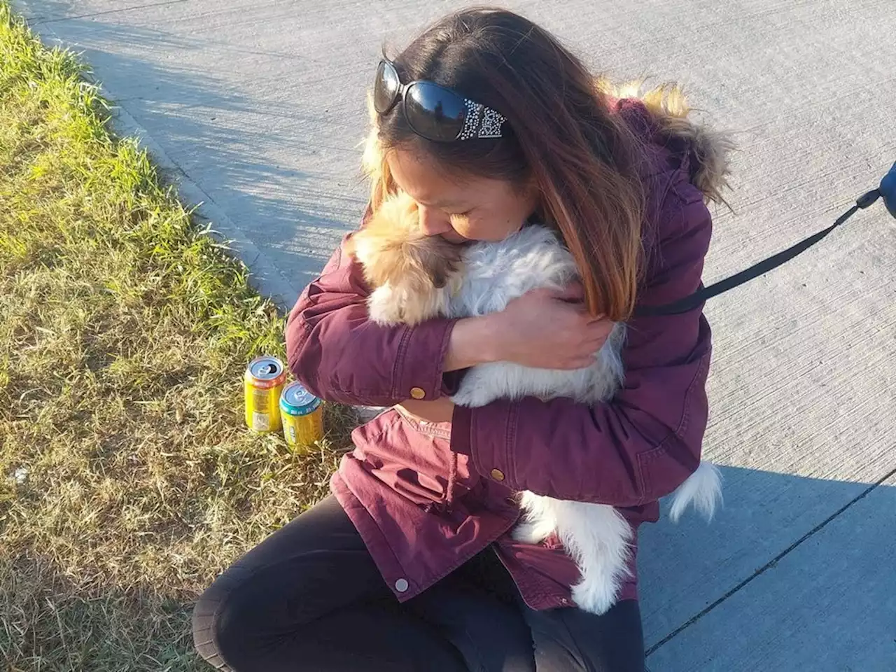 Dog lost during deadly Edmonton stabbing spree reunited with family