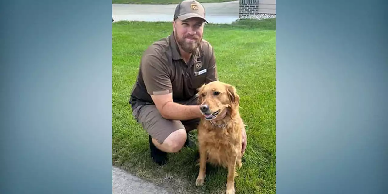 UPS driver saves dogs trapped in pool, family says