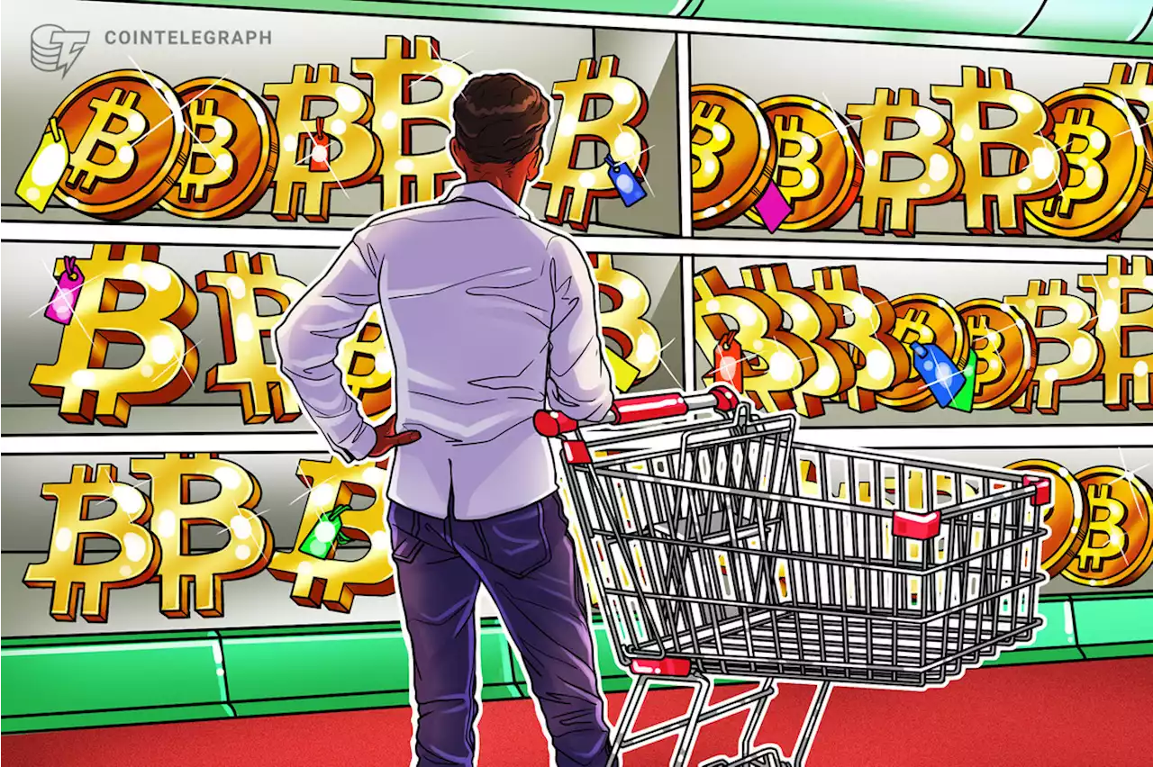 Bitcoin squeezes past $20K on US dollar dip as BTC price gains 8.7%