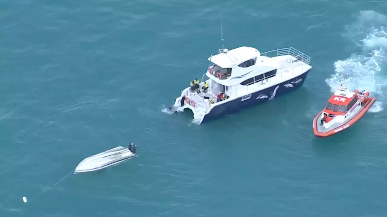 5 dead after New Zealand boat flips in possible whale strike