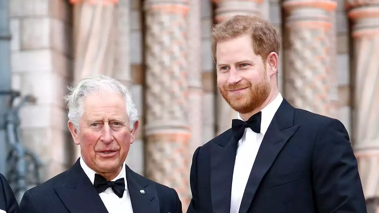 König Charles' Rede an die Nation: Er richtet emotionale Worte an Prinz Harry