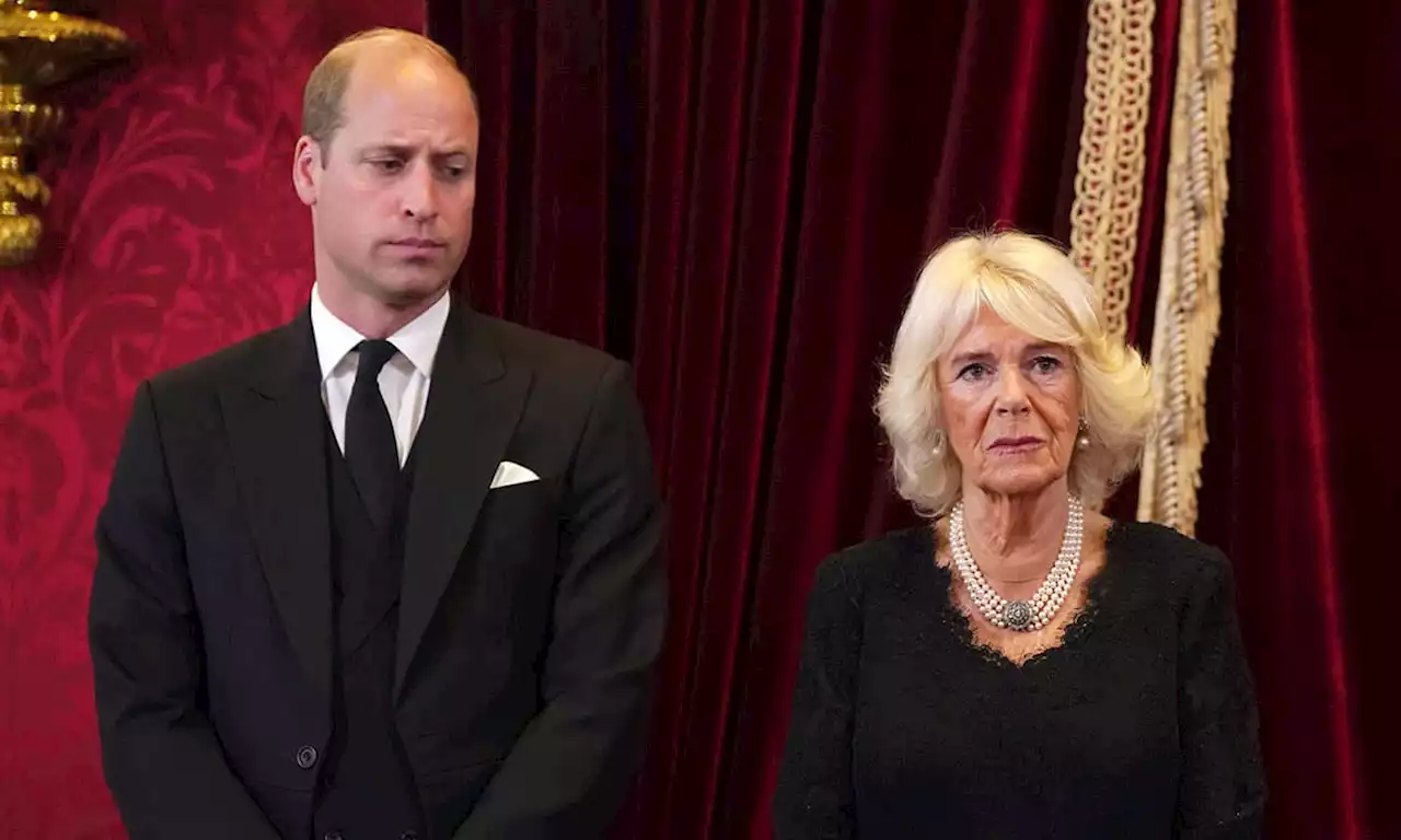 Touching moment Prince William helps Queen Consort Camilla during King Charles III's proclamation