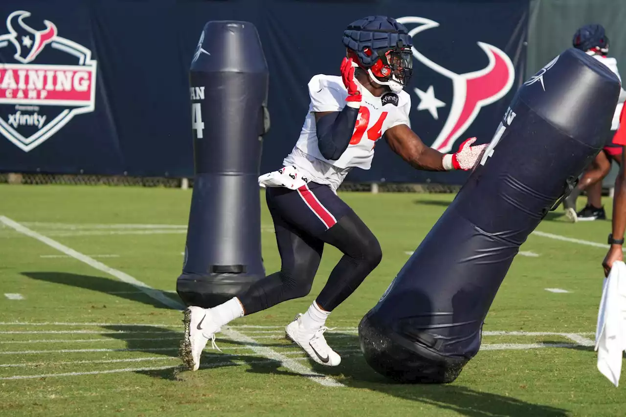 Texans sign DL Demone Harris to active roster