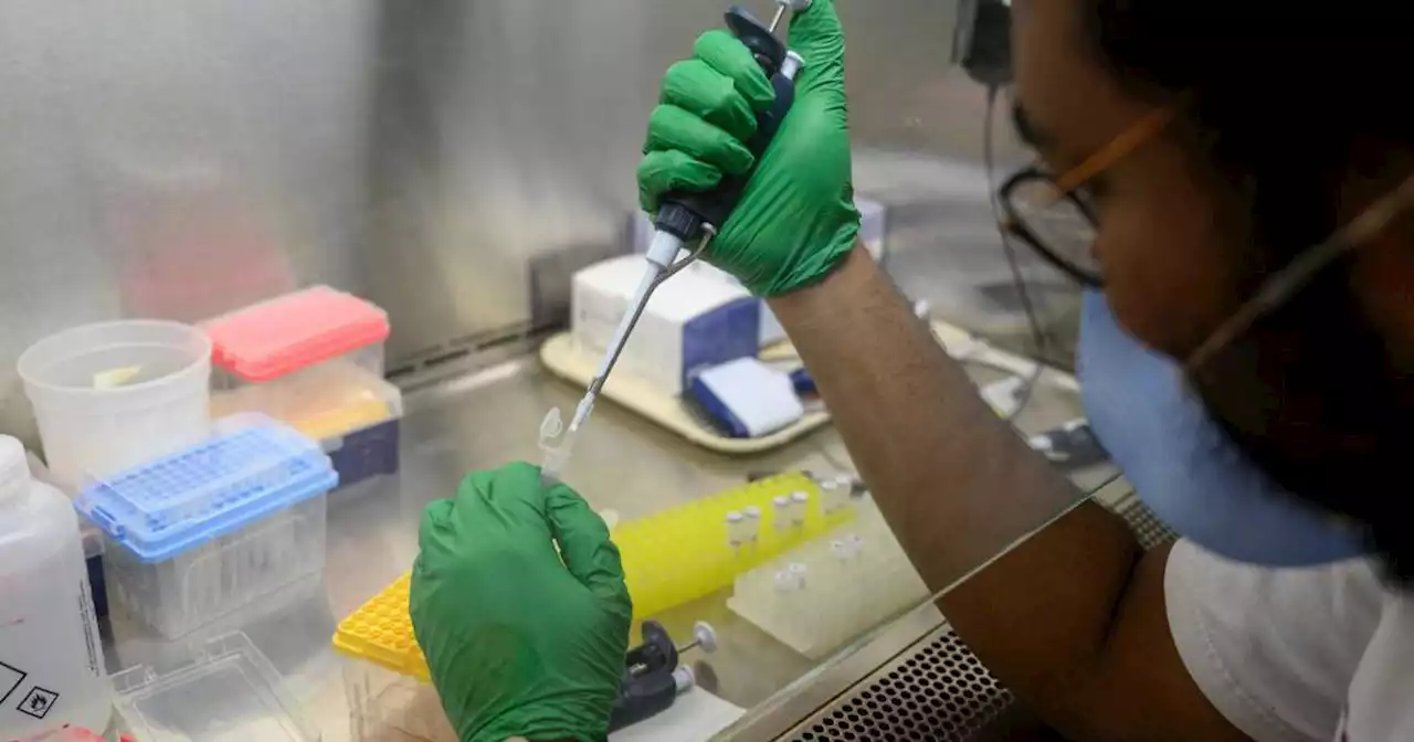 New York declares state of emergency and ramps up vaccinations over detection of polio