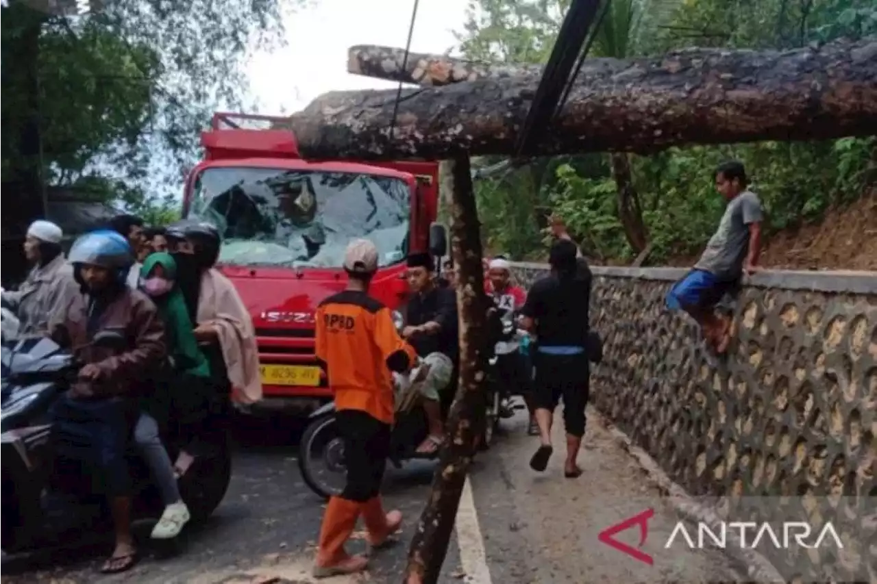 Cuaca Buruk, Pohon Tumbang Menimpa Truk dan Ganggu Aliran Listrik di Pamekasan