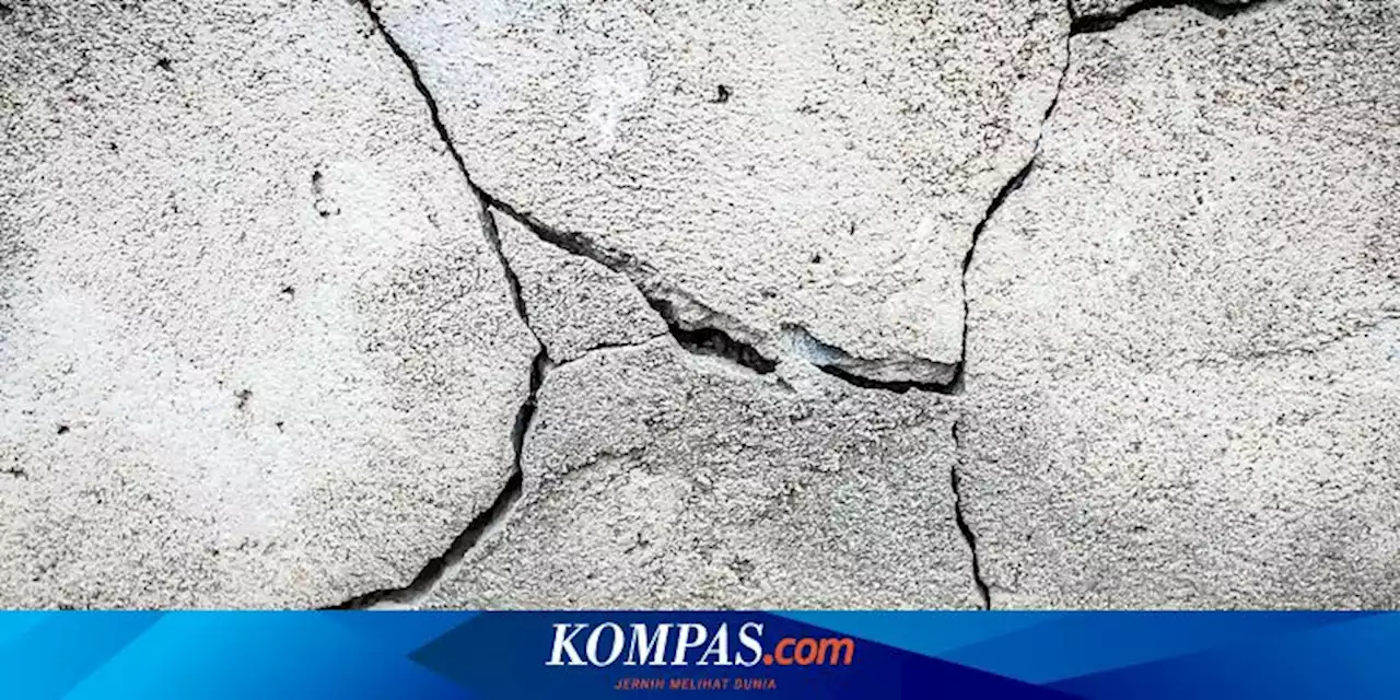 4 Gempa Bumi Guncang Wilayah Mamberamo, Getarannya Terasa hingga Jayapura