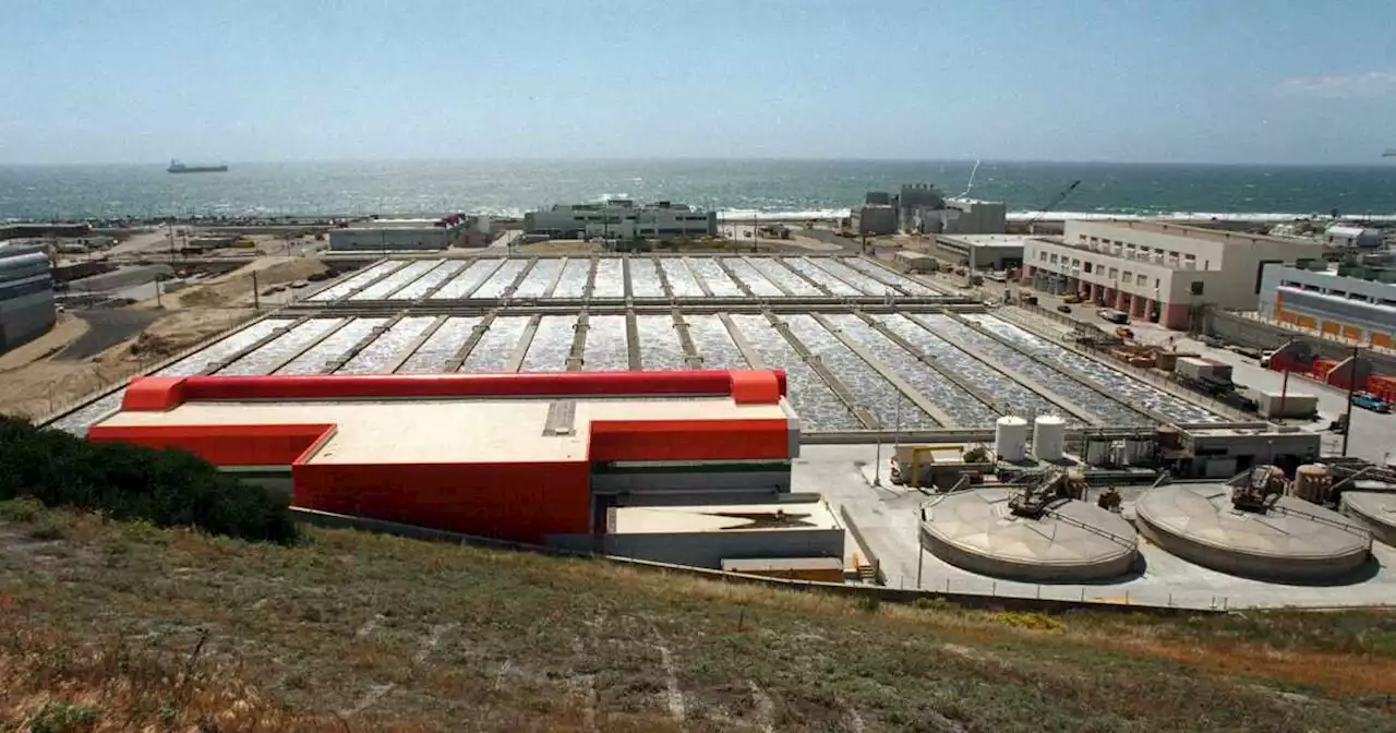 El Segundo moves to sue L.A. over massive Santa Monica Bay sewage spill, foul odors