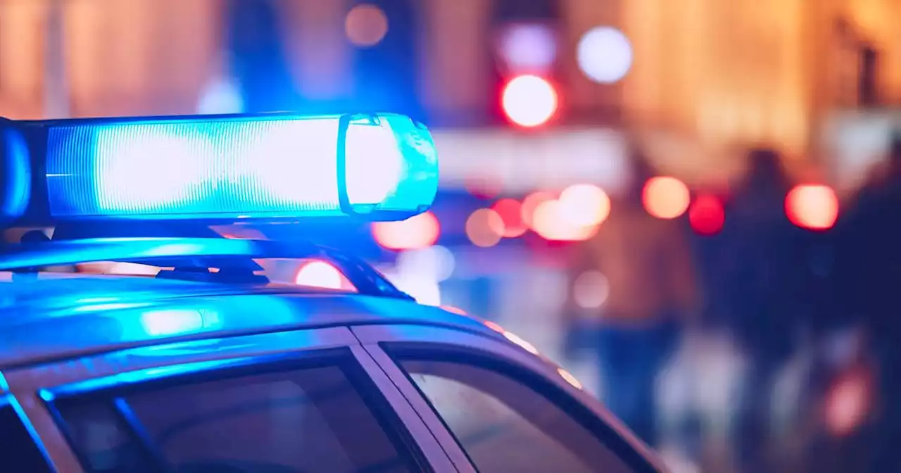 Paris : un homme interpellé après le viol d'une touriste sur le Champ-de-Mars