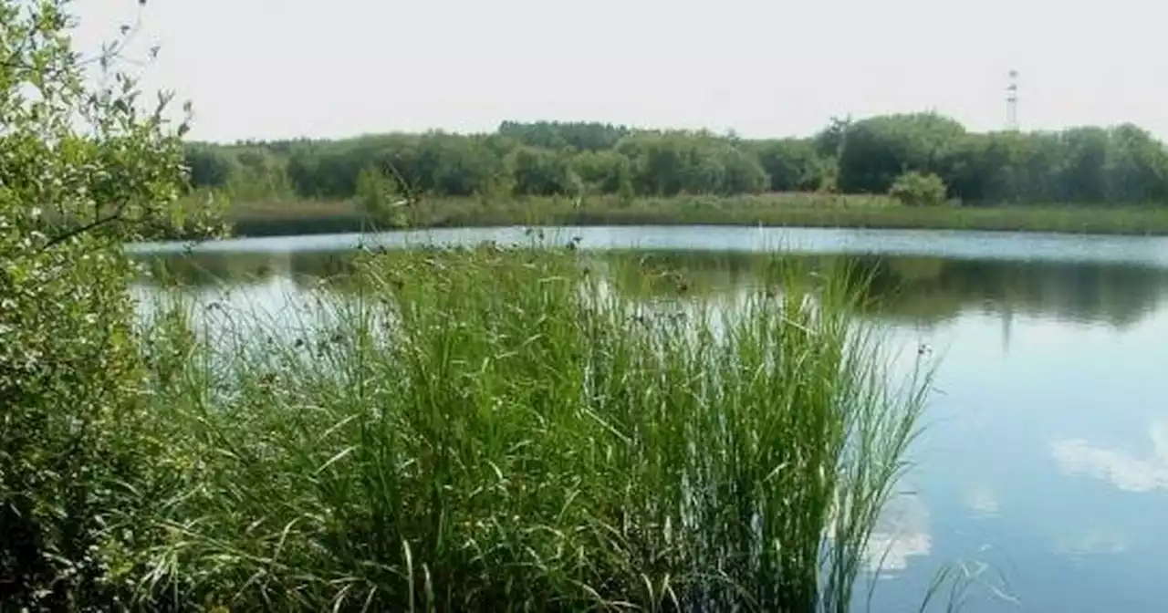 Woman aged in her 50s sexually assaulted as she walked dog at nature reserve