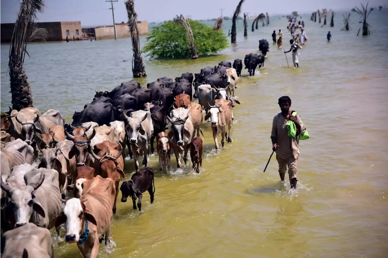 UN chief asks world to help flood-hit Pakistan