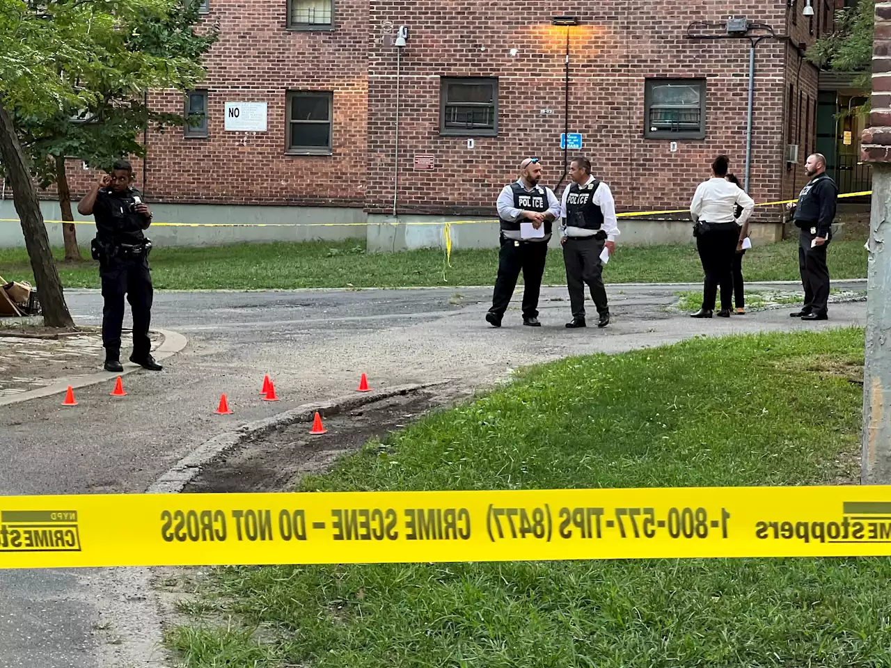 4 Men Injured in Bronx Afternoon Shooting Expected to Survive: Police