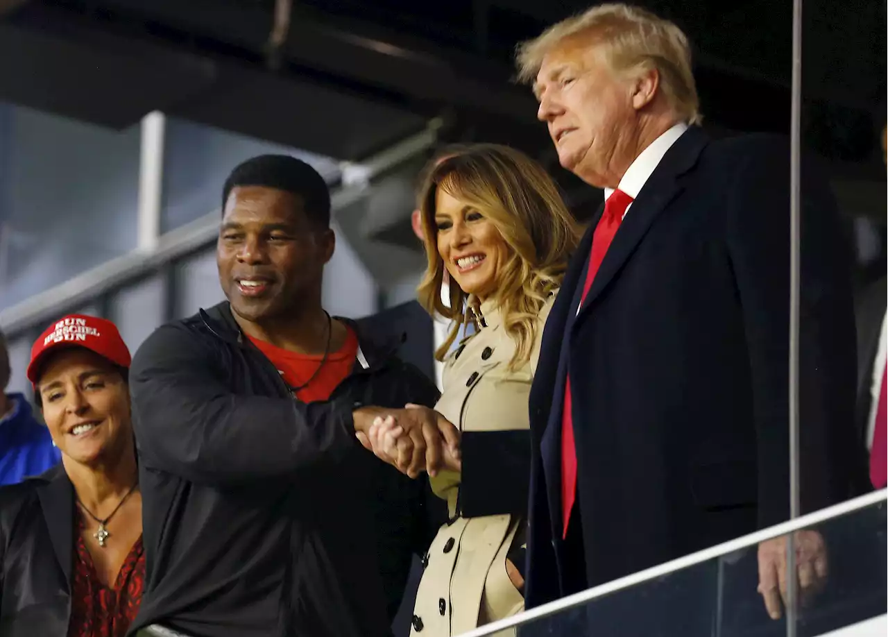 Donald Trump hails 'shining star' Herschel Walker after latest polls