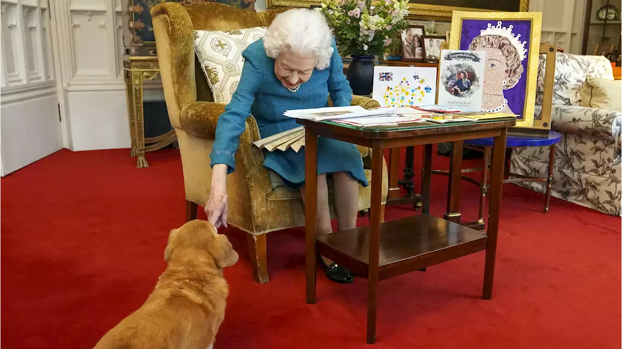 La devoción de Isabel II con los corgis y por qué dejó de criarlos