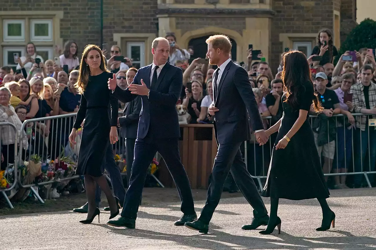 Feuding William and Harry reunite to thank crowds mourning Queen Elizabeth