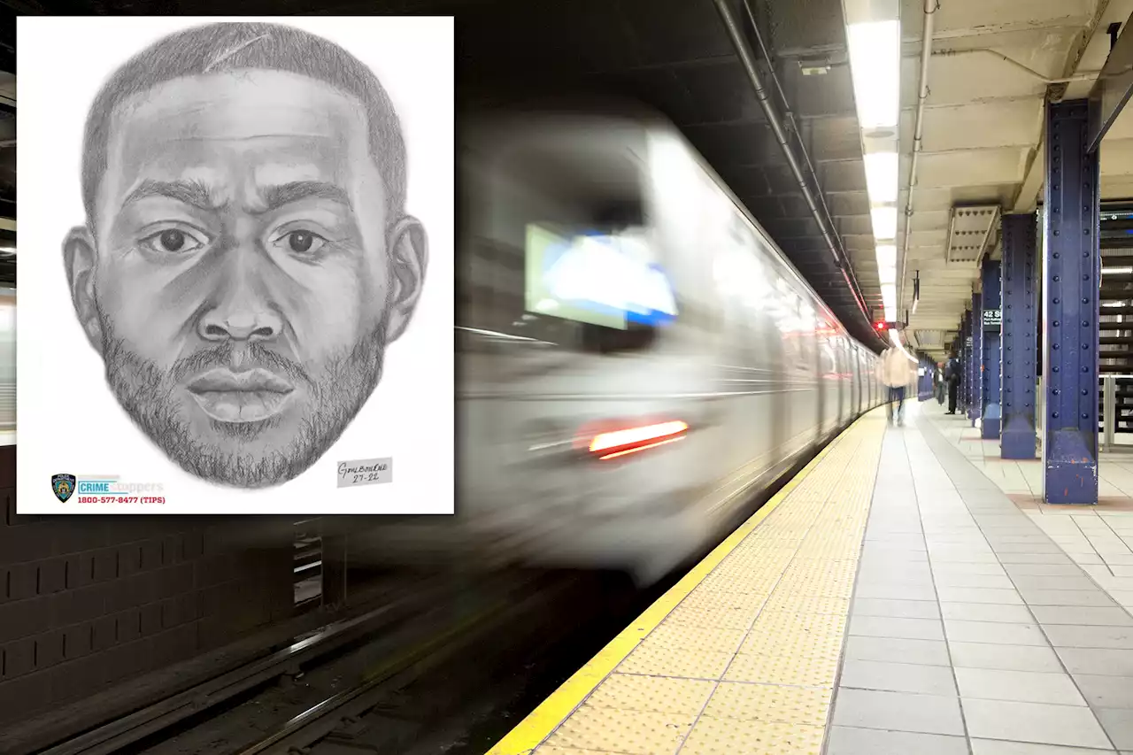 St. Louis tourist, 21, raped by stranger in NYC subway station: cops