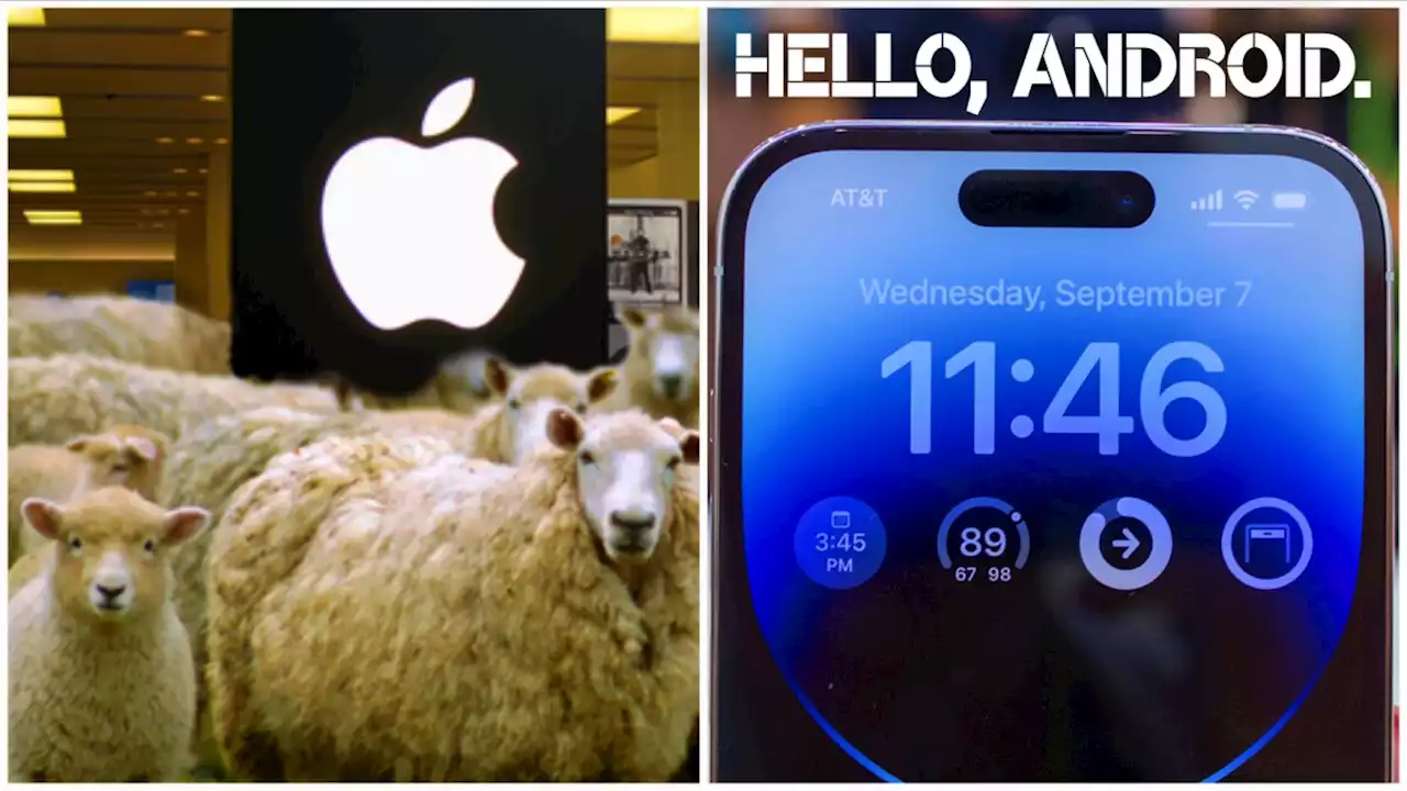 iPhone 14 Pro unreal Dynamic Face ID: Brainwashed Android and Samsung users join Apple Sheep herd?