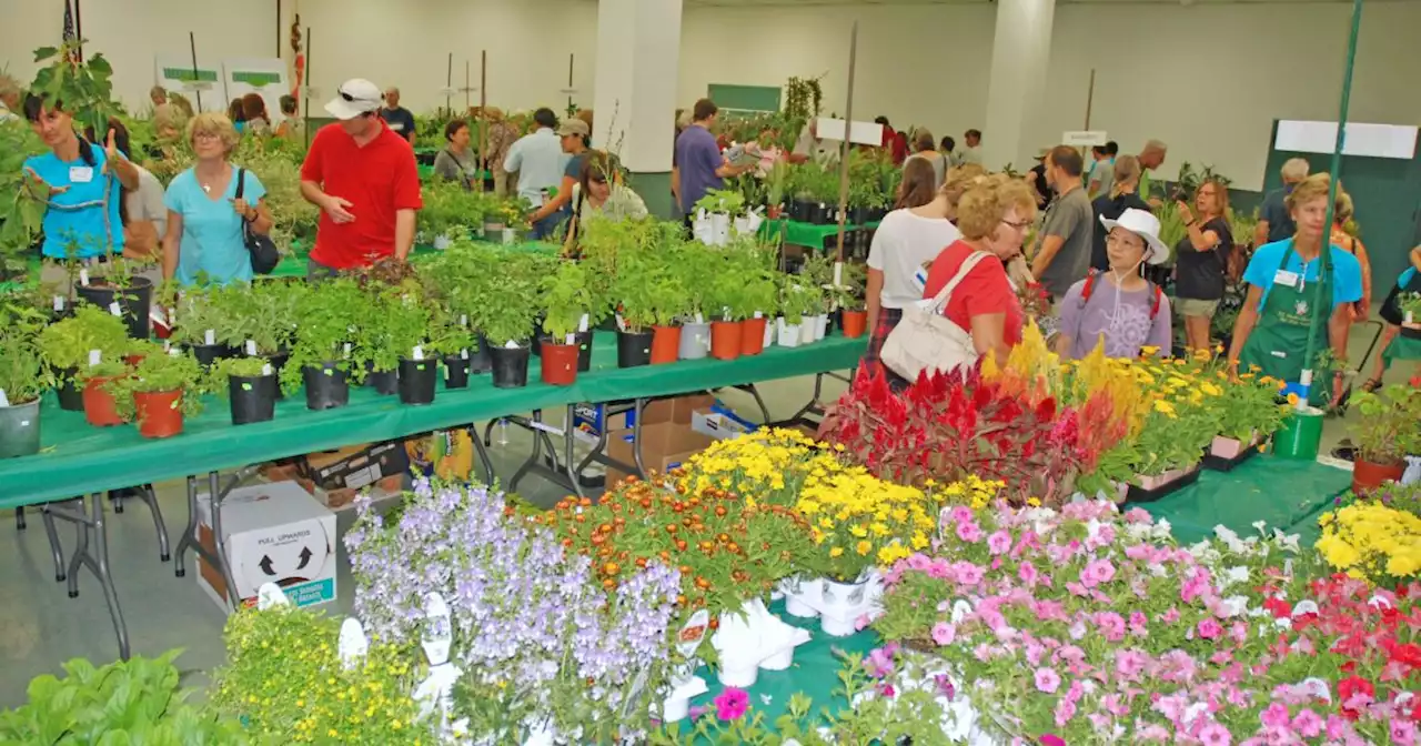 San Diego County Master Gardeners' fall plant sale returns Sept. 24 at Balboa Park