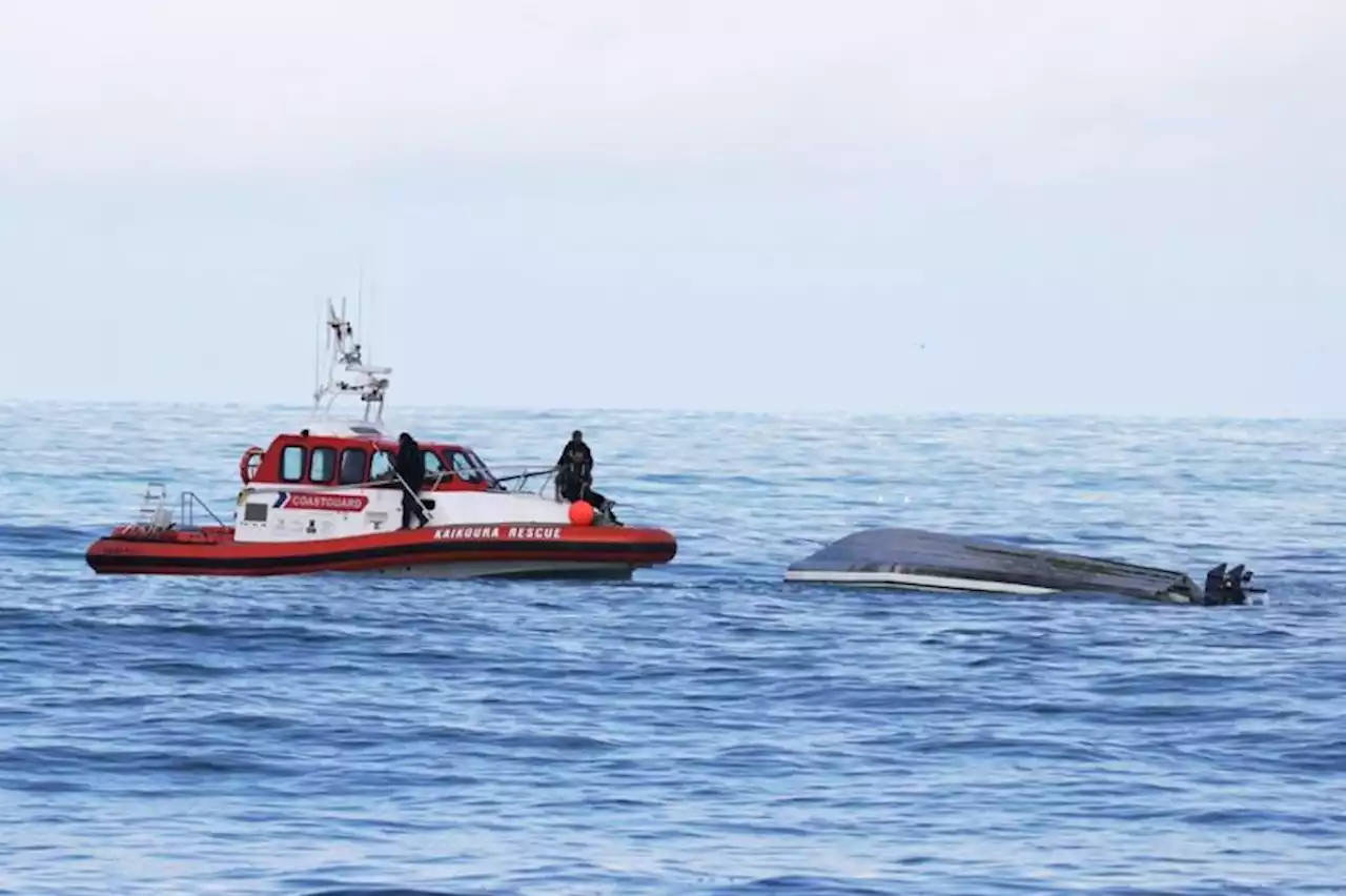 Perahu Terbalik Tewaskan 5 Orang, Diduga Bertabrakan dengan Paus