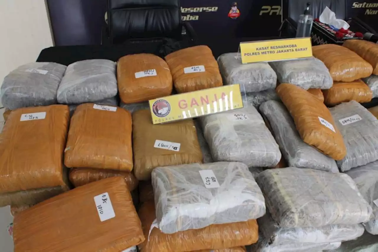 Polres Jakarta Barat Gagalkan Peredaran 1,2 Ton Ganja Jaringan Sumatera selama 8 Bulan