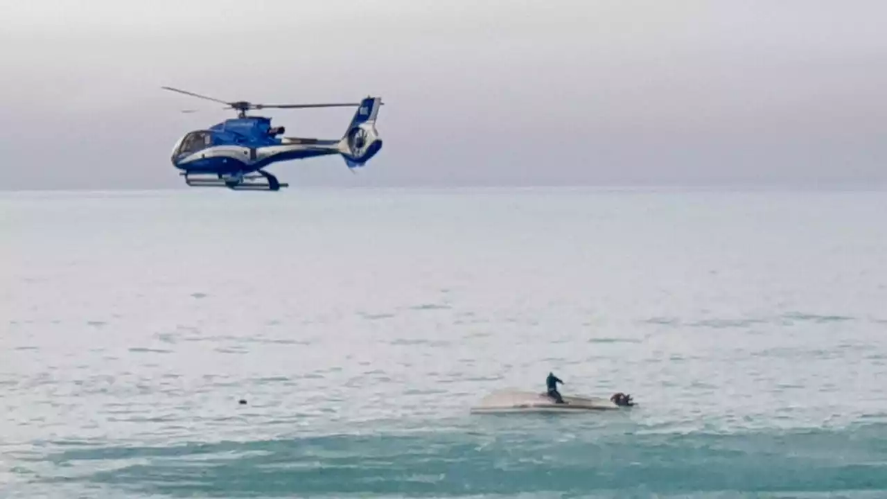 Five dead after 'whale overturns small boat' off New Zealand coast